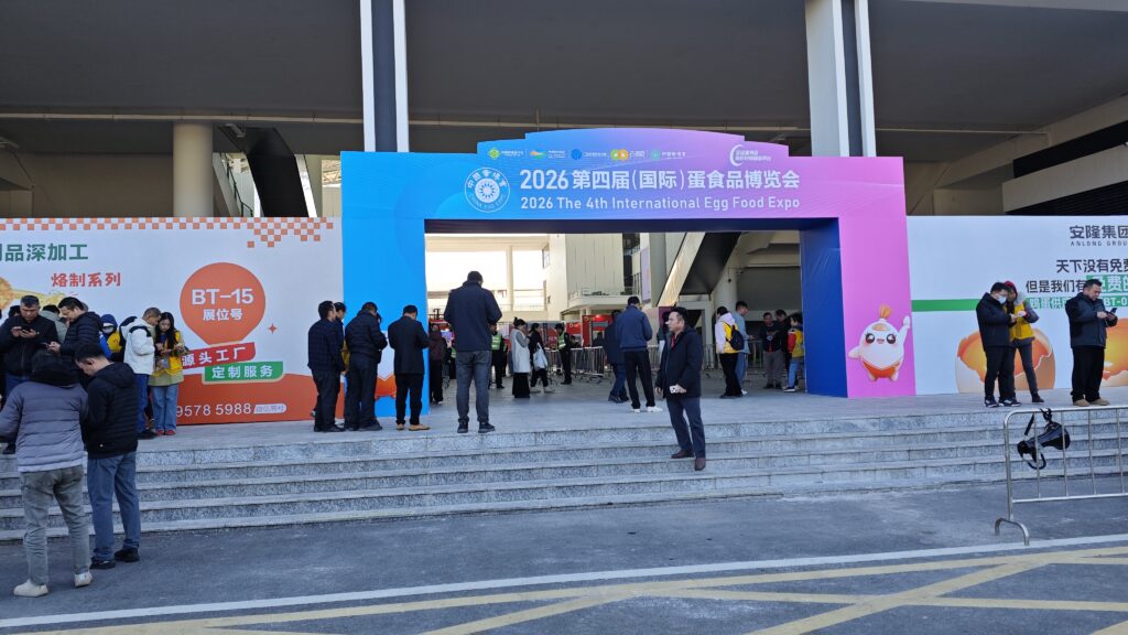 mvimg 20260108 102903