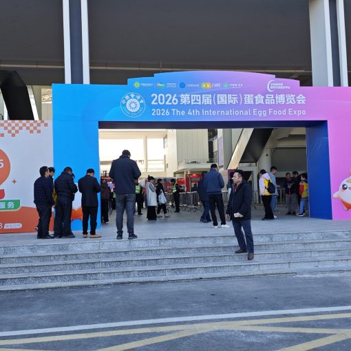 mvimg 20260108 102903