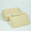 biodegradable bamboo pulp fresh food tray a01