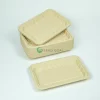 biodegradable bamboo pulp fresh food tray a01