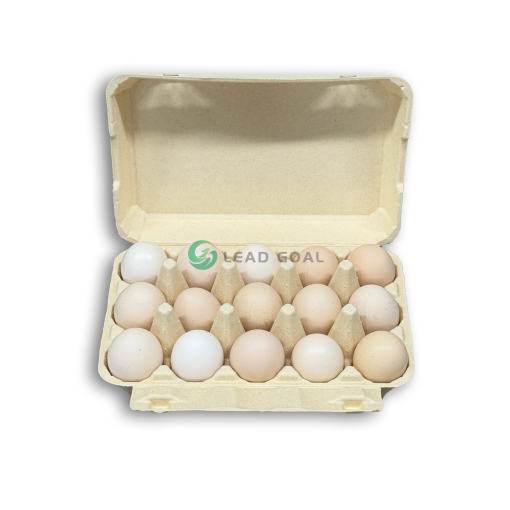 egg carton e15