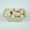 leadgoal t26 eco friendly bamboo pulp produce tray