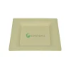 eco bamboo pulp plate sp10 | 260×260 mm supermarket salad plate