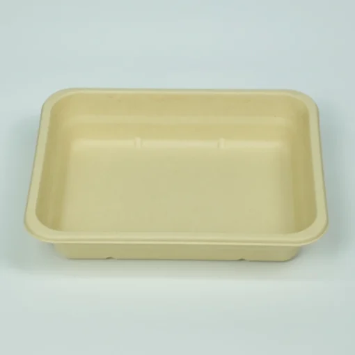 bamboo pulp 22×17×4 eco friendly container t22
