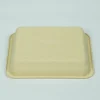bamboo pulp 22×17×4 eco friendly container t22