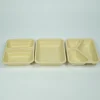 bamboo pulp 22×17×4 eco friendly container t22