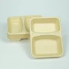 bamboo pulp 22×17×4 eco friendly container t23