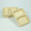 bamboo pulp 22×17×4 eco friendly container t23