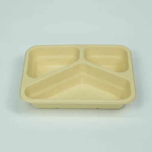 bamboo pulp 22×17×4eco friendly container t24