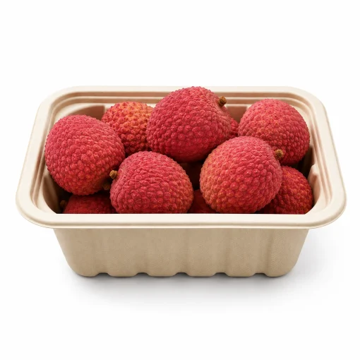 农产品蔬菜托盘t26