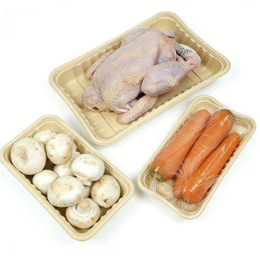 生鲜、蔬菜托盘