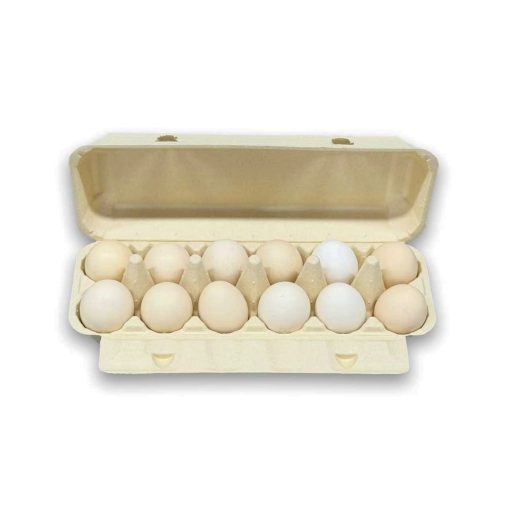 鸡蛋盒