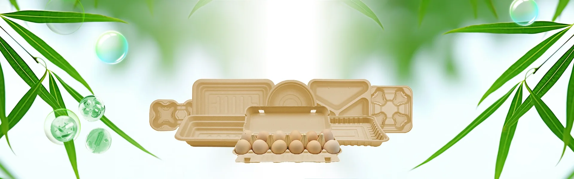 biodegradable food packaging manufacture