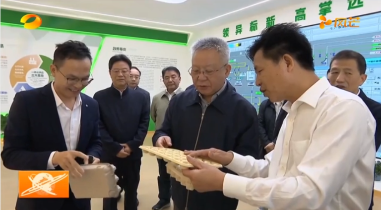 新网2